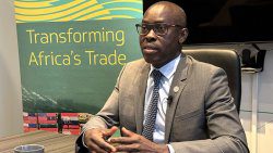 Acting Chief Operating Officer at the Barbados-based Caribbean Office of Afreximbank, Okechukwu Ihejirika. (CMC Photo)