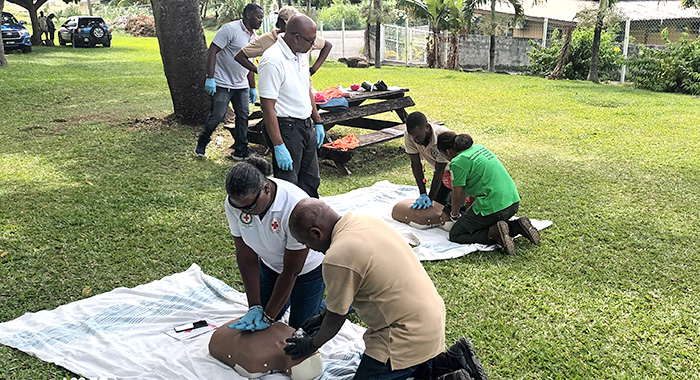 Forestry, VEEP officers certified in wilderness, remote first aid