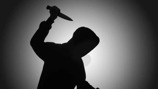 Cop stabs
