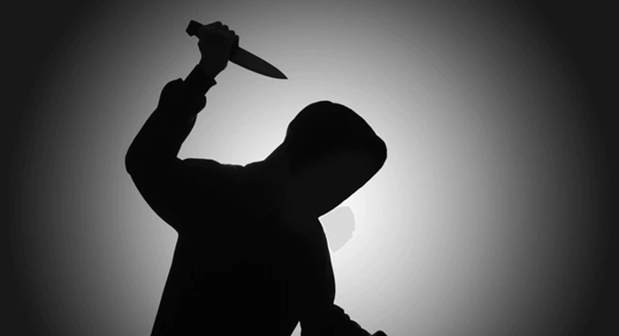 Cop stabs