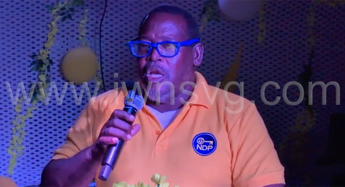 Ollivierre proposes ministry of Grenadines development and affairs