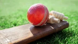 Cricket