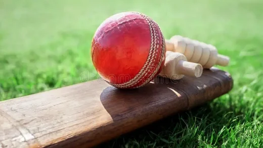 Cricket