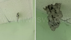 A chunk of concrete crashed through the ceiling at the Milton Cato Memorial Hospital on Oct. 16, 2025.