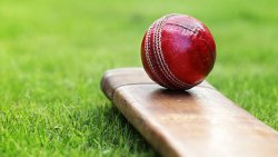 Cricket ball resting on a cricket bat on green grass of cricket pitch