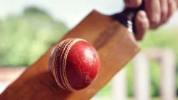 cricket banner