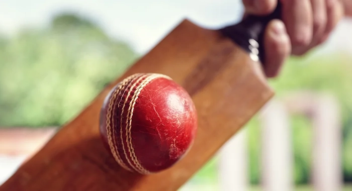 cricket banner