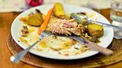 food scraps