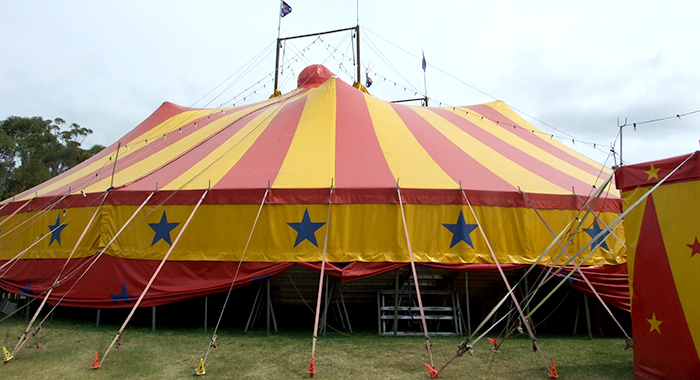 Circus