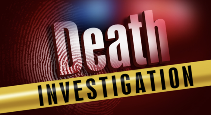 Tourist dies after suspected fall on ferry