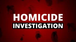 Homicide Investigation