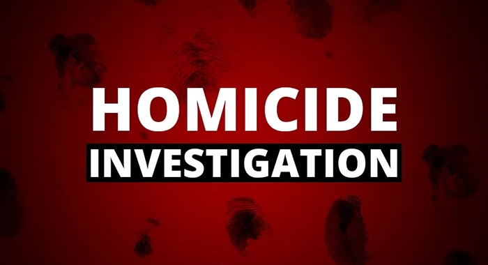 Homicide Investigation