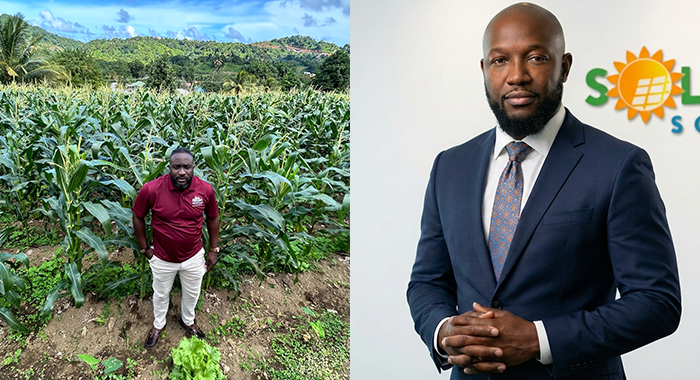 How entrepreneurs are recharging the Caribbean