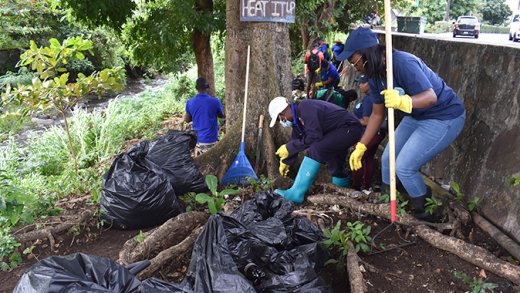 Arnos Vale clean up