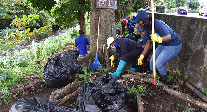 2,000lbs of trash cleaned up near Arnos Vale bus stop
