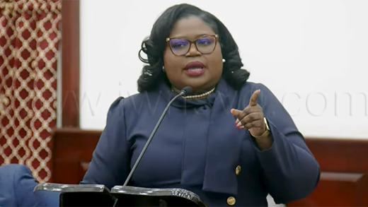 Opposition Senator speaking during the Budget Debate on Feb. 12, 2026.