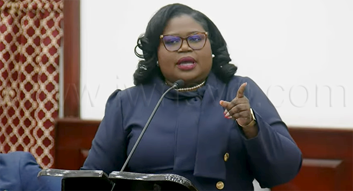 Opposition Senator speaking during the Budget Debate on Feb. 12, 2026.
