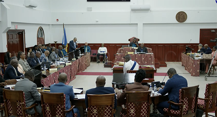 ULP’s 'dismal' performance left SVG ‘heading in the wrong direction,’ PM says 2 Parliament