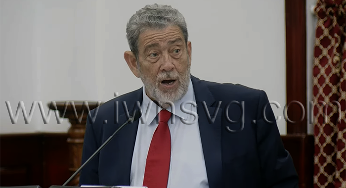 Gonsalves doubts VAT-free shopping generated $28m in sales