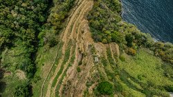 Hand2Earth's Vetiver Heritage Site in May 2025.