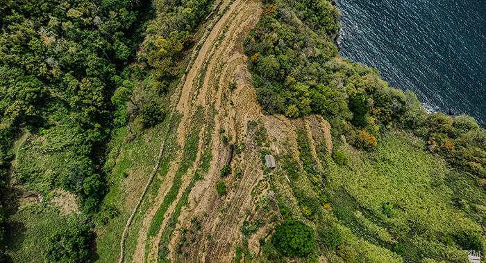Vincy NGO Hand2Earth to present at climate forum in Vienna