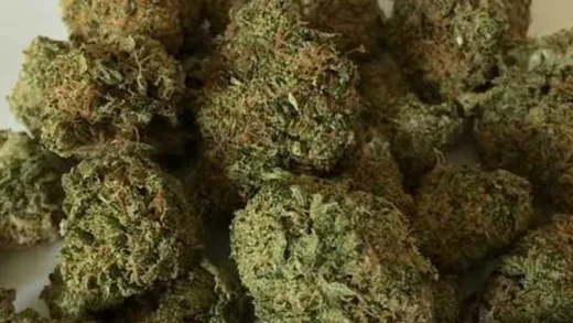 Ganja