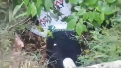 Body in richmond