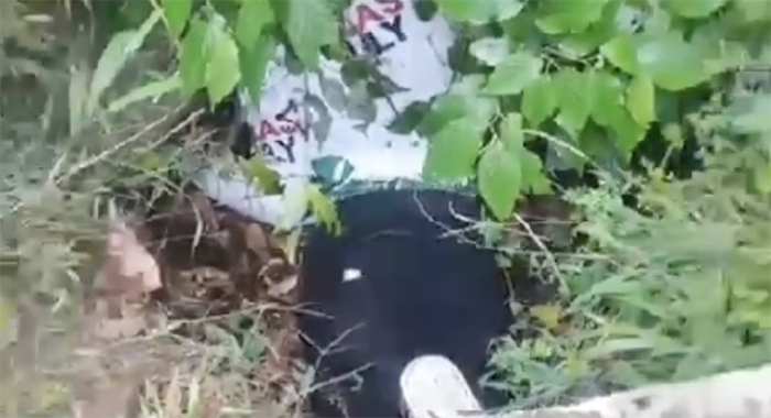 Body in richmond