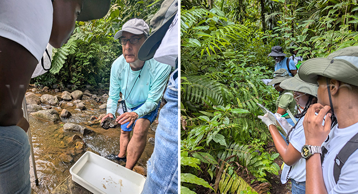 Everyday citizens help document SVG’s unique biodiversity