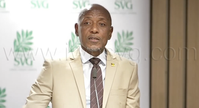 Bramble urges diaspora to turn remittances into investment