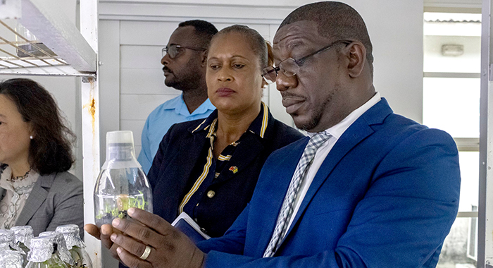 Agriculture Minister urges Vincies to focus on ‘food sovereignty’