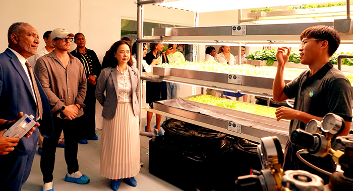 Taiwan project trains pioneers of new generations of agriculture in SVG 3 Taiwan training 2