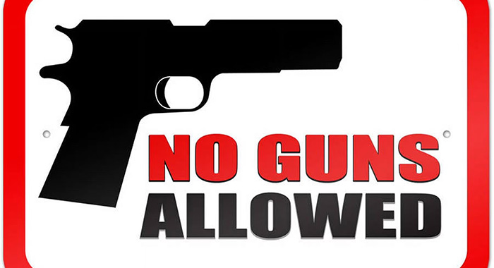 Only police allowed guns in park during carnival