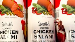 Salami 2 copy