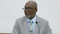 Deputy Prime Minister and Minister of the Public Service, St. Clair Leacock, speaking in Parliament on Tuesday, July 21, 2026. 