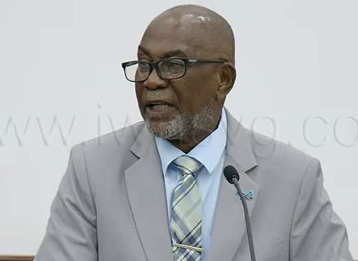 Deputy Prime Minister and Minister of the Public Service, St. Clair Leacock, speaking in Parliament on Tuesday, July 21, 2026. 