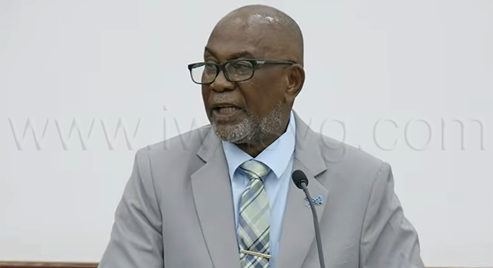 Deputy Prime Minister and Minister of the Public Service, St. Clair Leacock, speaking in Parliament on Tuesday, July 21, 2026. 