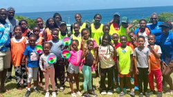 Blue marlin swimmers