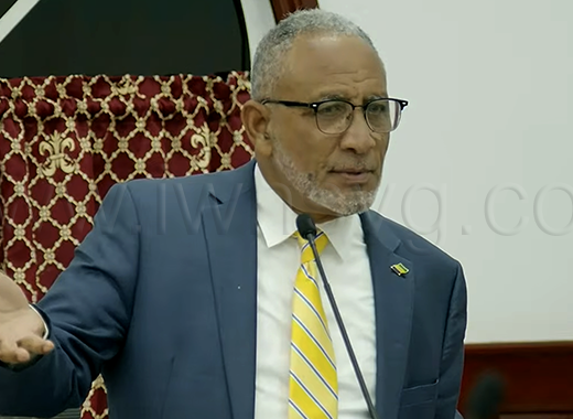 Prime Minister Godwin Friday speaking in Parliament on Aug. 27, 2026. 