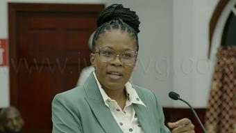 Senator Lavern King speaking in Parliament on Aug. 27, 2026.