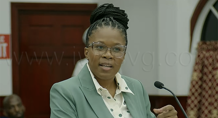 Senator Lavern King speaking in Parliament on Aug. 27, 2026.