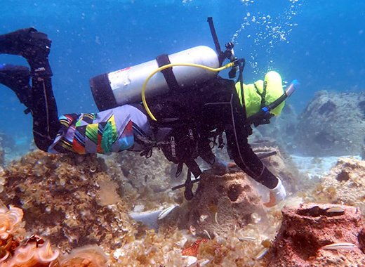 A coral gardener maintaining a reef ball site on the windward side of Mayreau. (Image courtesy of WAM Coral Gardeners Team)