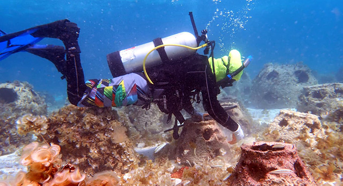 A coral gardener maintaining a reef ball site on the windward side of Mayreau. (Image courtesy of WAM Coral Gardeners Team)