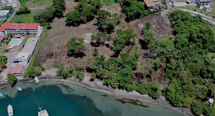 Legal gaps left Canash mangroves vulnerable — MP