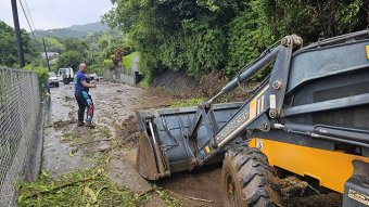 Road clean up